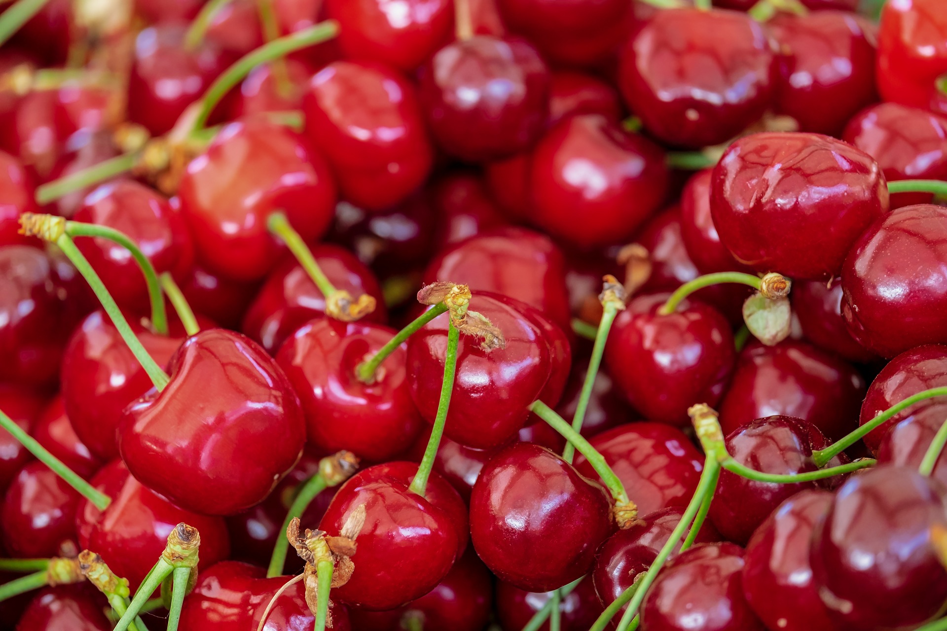 cherries-3433775_1920